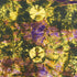 2.9 Metre Premium Tie Dye Cotton – 36” Wide - (Yellow, Green & Purple)