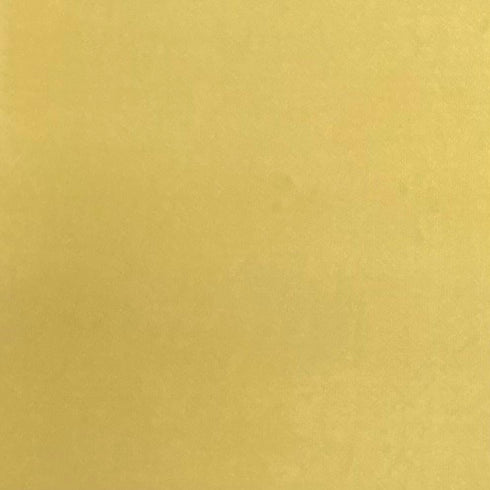 3 Metres Luxurious Plain Winter Viscose- 55'' - (Goldy Beige)