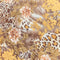 3 Metres Luxury Printed Chiffon- 55" Wide- (Brown)
