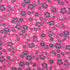 3 Metres Premium Cotton Jersey- 55'' Wide -(Cerise Floral)