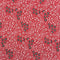 3 Metres Premium Cotton Jersey- 55'' Wide -(Red Floral)