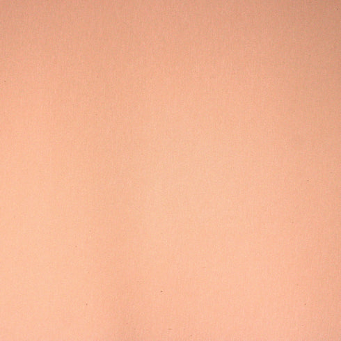 3 Metres Luxurious Soft Terry Jersey - 55" Wide - Peach