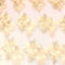 3 Metre Luxury Embroidered Lace - 55" Wide - Ivory