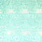 3 Metre Luxury Embroidered Lace - 55" Wide - Mint