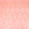 3 Metre Luxury Embroidered Lace - 55" Wide - Peach