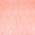 3 Metre Luxury Embroidered Lace - 55" Wide - Peach