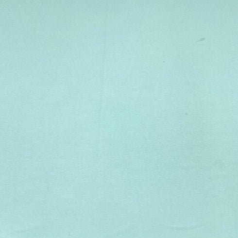 Cotton Looped Backed Terry Jersey 74" Wide (Mint)