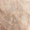 Per Metre Luxurious Beads On Mesh - 55" wide (Beige)