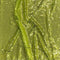 3 Metres - Luxurious Sequins On Net - 55" Wide - (Light Green)