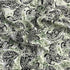 3 Metres, Printed Summer Dressmaking Viscose Fabric - 55" Wide (Paisley)