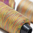 Rainbow Overlocker Threads Polyester Hand / Overlocker- 2950 Yards (Reds/Greens/Blues)