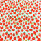 Sold Per Metre Digital Print 100% Cotton- Strawberry Sketch
